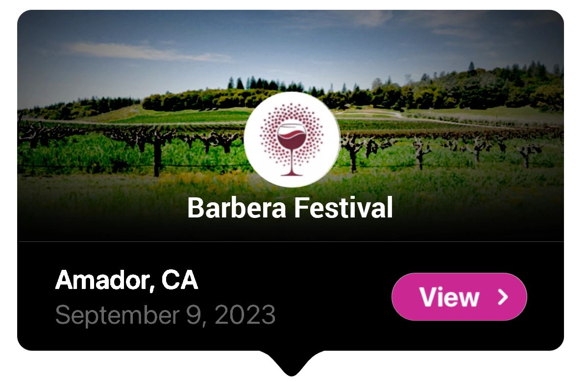 WithWine Winery POS and App for Events